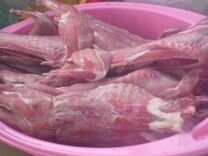 Халяль Продаю диетическое мясо кролика