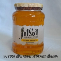 Мед белая акация, полезные свойства и противопоказания