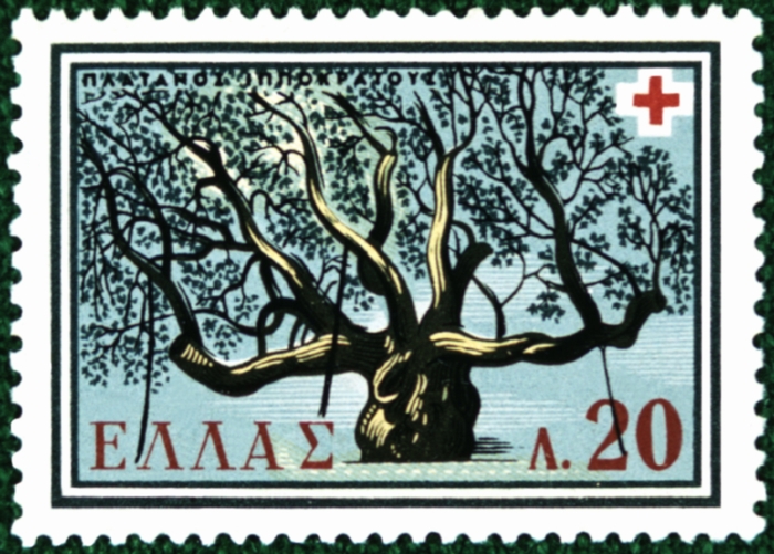 Почтовая марка (Греция) с изображением платана Гиппократа, возможного прообраза эмблемы геронтологии