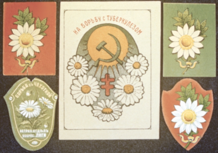 Бумажные значки противотуберкулезных трехдневников с изображением цветка белой ромашки (Россия)