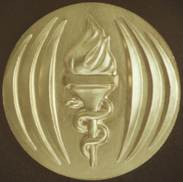 Изображение горящего факела, обвитого змеей. Памятная современная медаль. Болгария