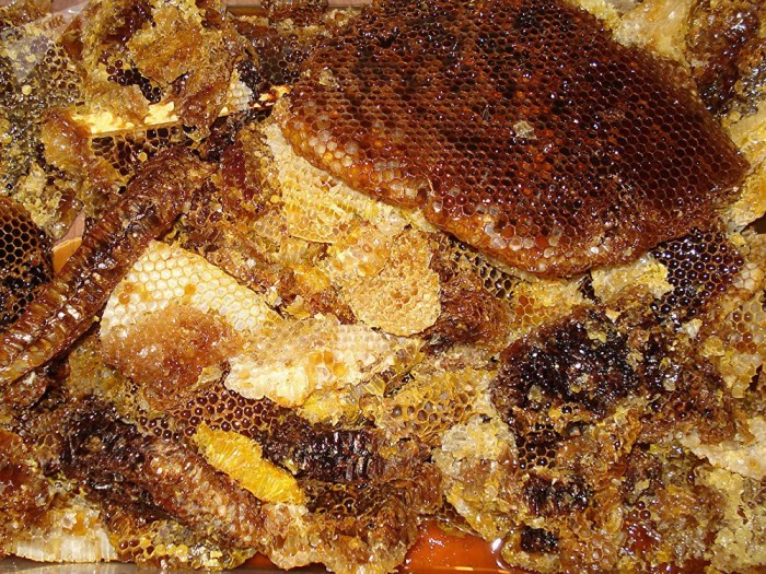 Самый полезный в мире колодный мед и как его добывать? (+Фото)