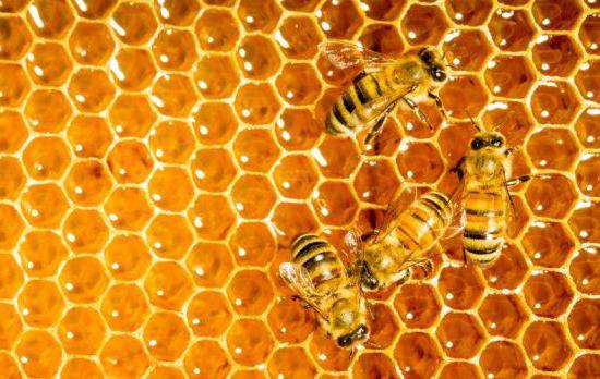 пчелиные продукты прополис
