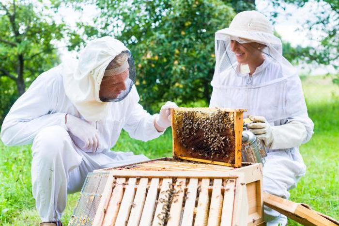 из чего делают искусственный мед 