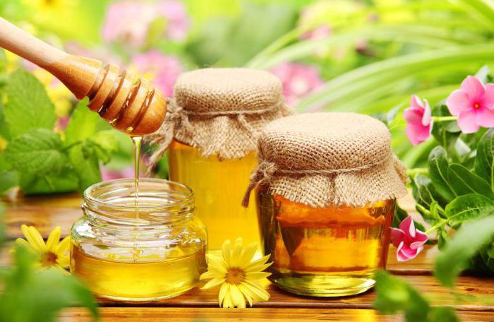 мед с кедровой живицей полезные свойства