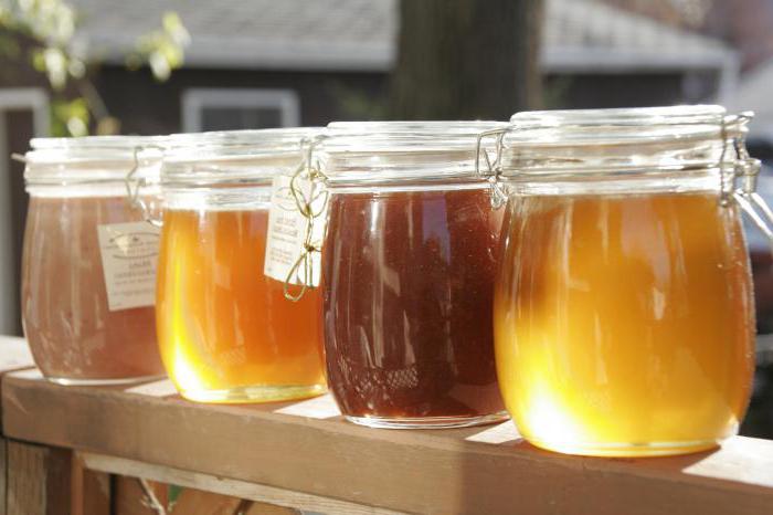 кипрейный мед полезные свойства и противопоказания