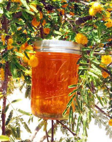 мед разнотравье полезные свойства