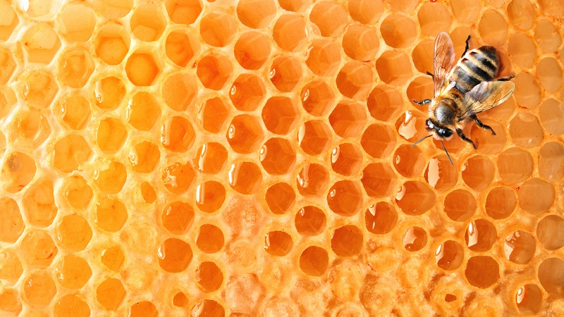 Горячий мёд — бомба замедленного действия?