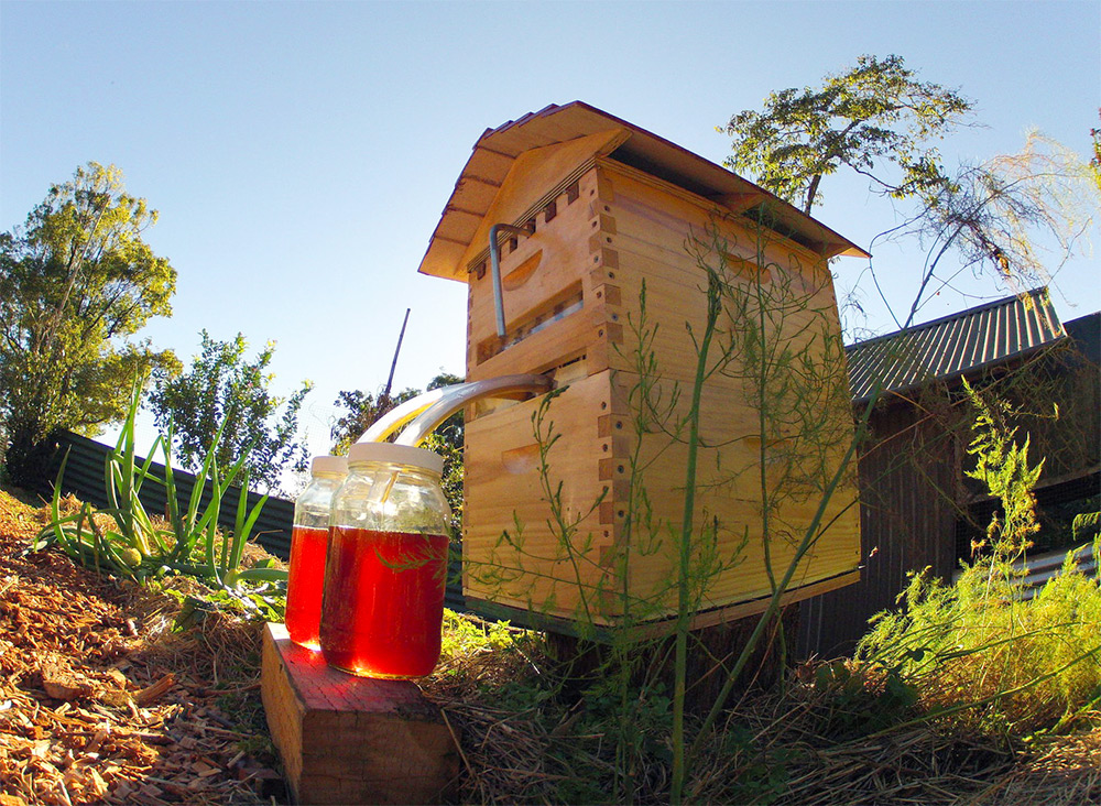 Потоковый улей – изобретение австралийских пчеловодов отца и сына Стюарта Андерсонов