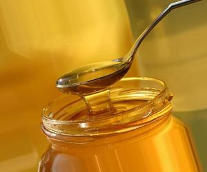 Мед – это натуральный продукт, в состав которого входит много целебных веществ