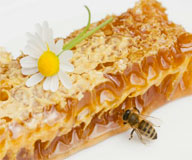 Цветочный мед для потенции