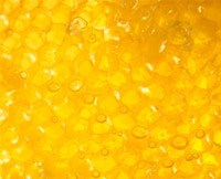 Полезные и целебные (лечебные) свойства меда. Чем полезен мед. Лечение медом