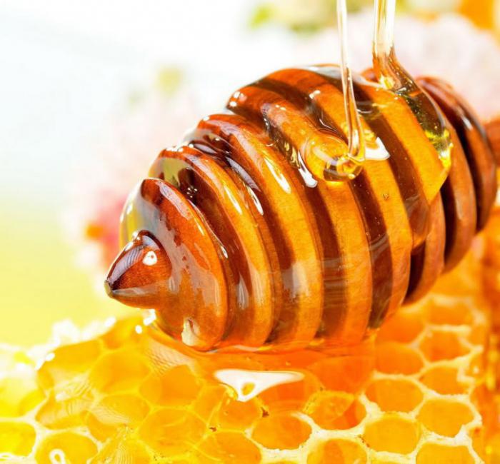 к чему снятся пчелы и мед