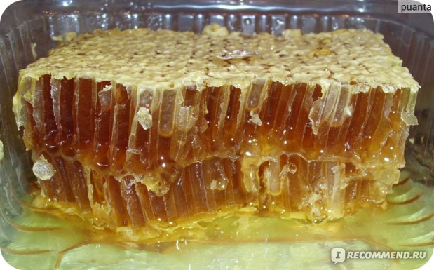 Мёд Медовые соты цветочные и разнотравье фото