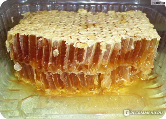 Мёд Медовые соты цветочные и разнотравье фото
