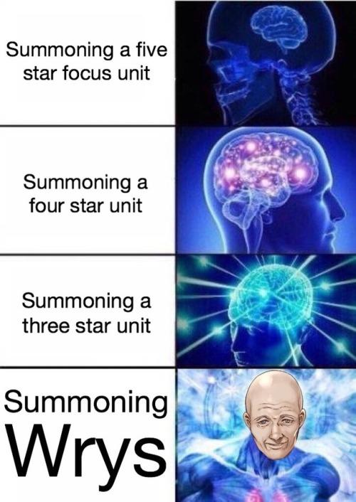 Summoning a five star focus unit Summoning a four star unit Summoning a three star unit Summoning Wrys neurologist organism human behavior