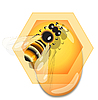 Пчела и мед | Векторный клипарт