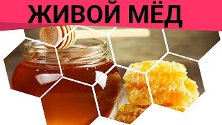 Мёд - это живой продукт! Чем живые продукты отличаются от мертвых? Живые продукты для живых людей?