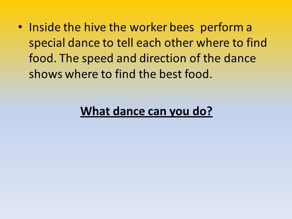 Inside the hive the worker bees perform a special dance to tell each other where to find food. The speed and direction of the dance shows where to find the best food.