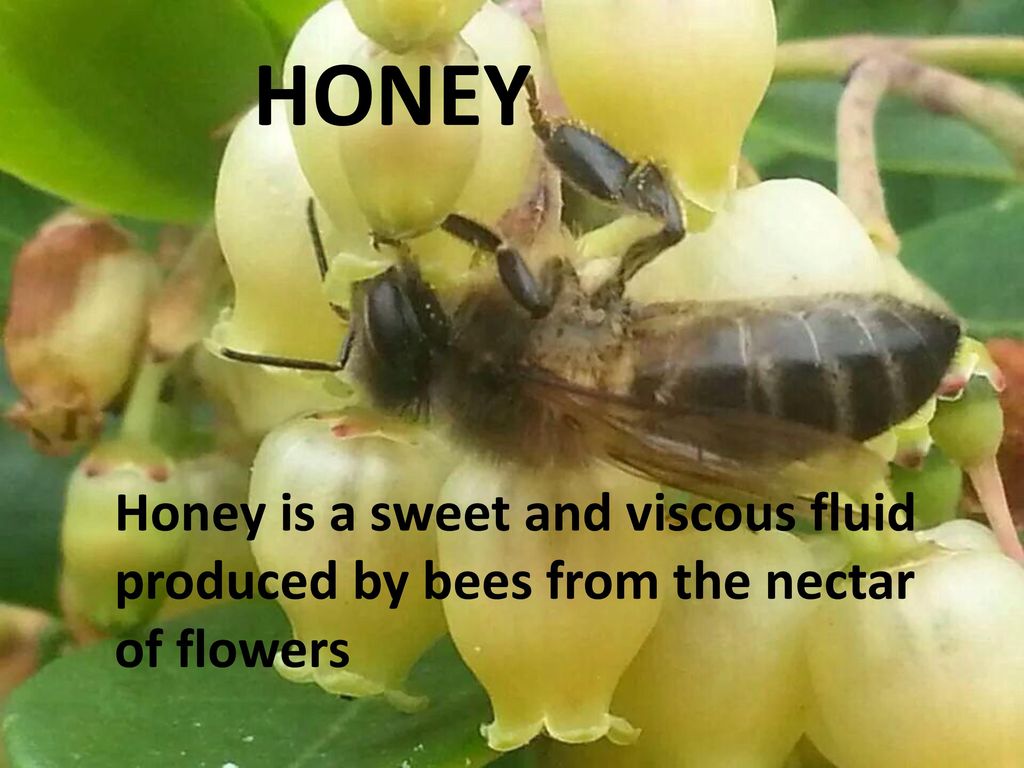 HONEY Honey is a sweet and viscous fluid produced by bees from the nectar of flowers