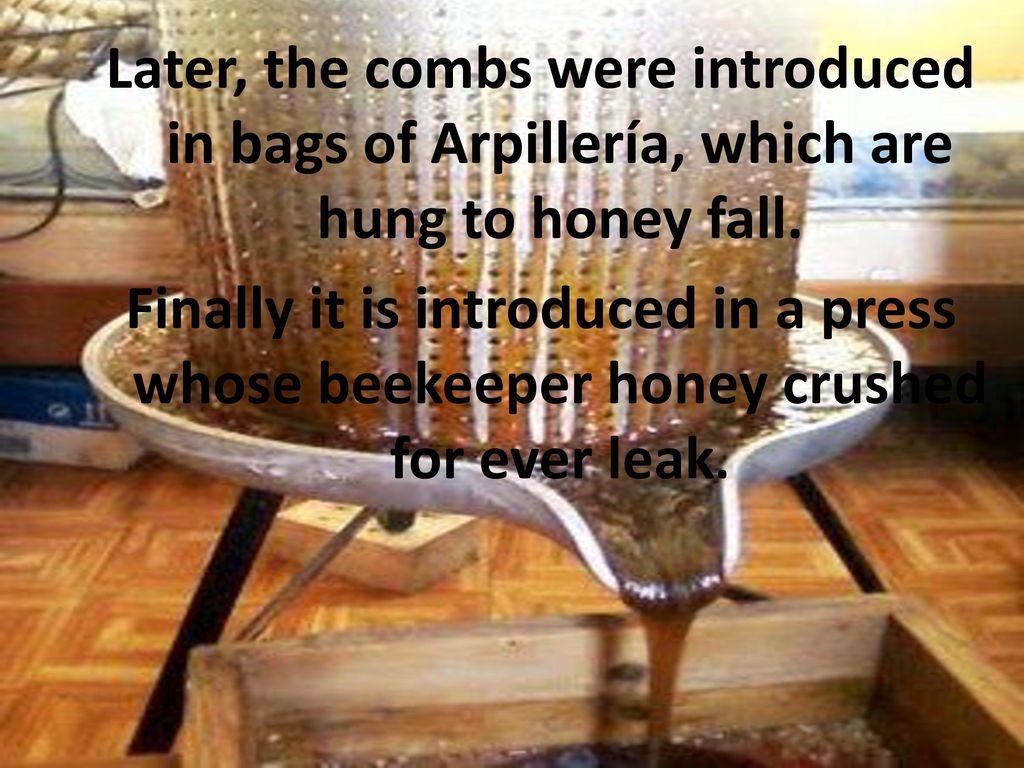Later, the combs were introduced in bags of Arpillería, which are hung to honey fall.
