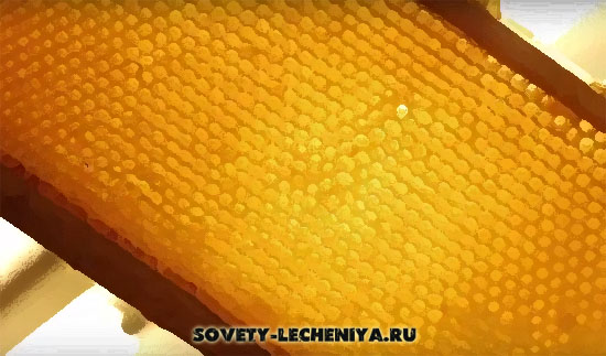 02-Пчелиный мед