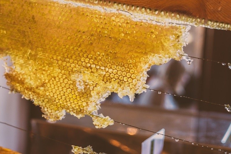 вред мёда