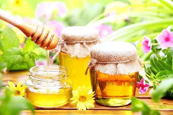 Цветочный мед полезные свойства