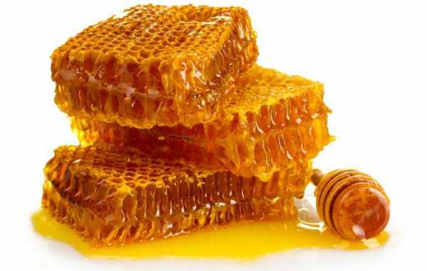 Как проверить мед гречишный