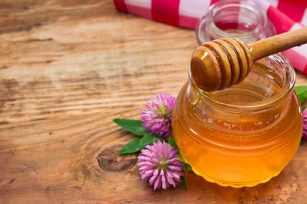 Клеверный мед полезные свойства