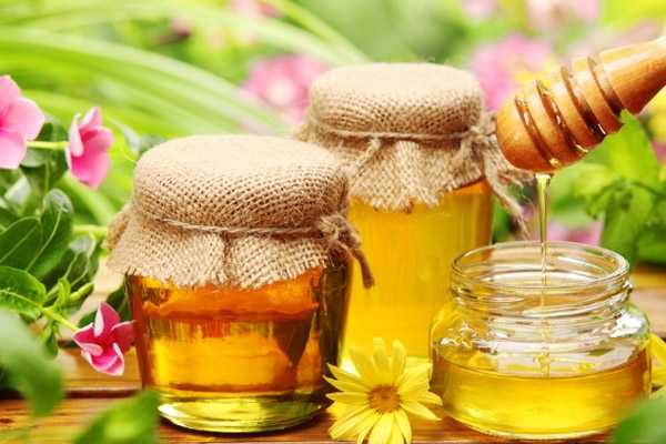 Лечение гайморита в домашних условиях медом