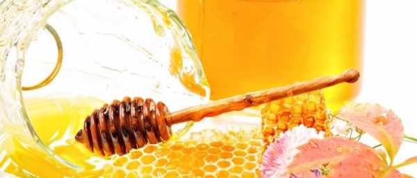 Лечение медом остеохондроза