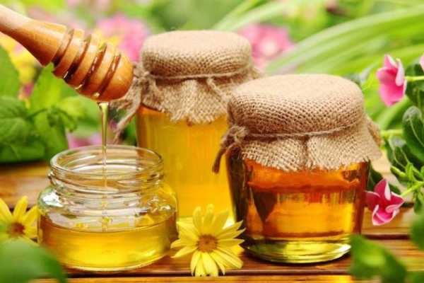 Лечение варикоза медом