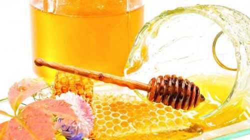 Мед для поджелудочной польза и вред