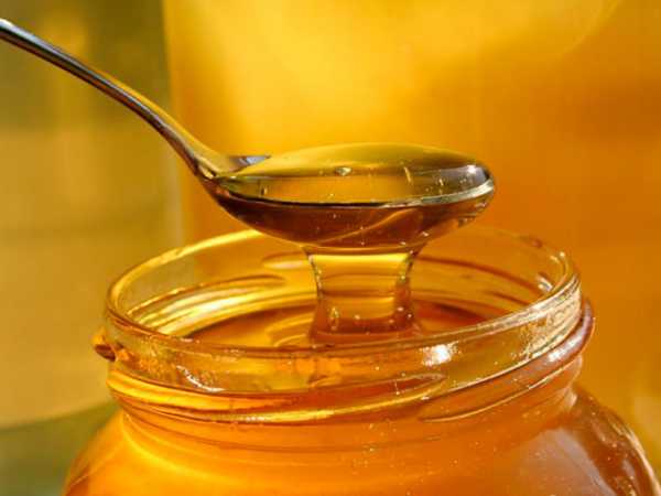 Мед натощак польза