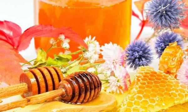 Мед польза цветочный