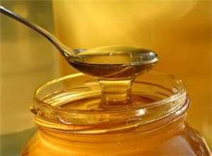 Мед польза для беременных и вред