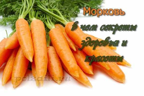Морковь с медом польза