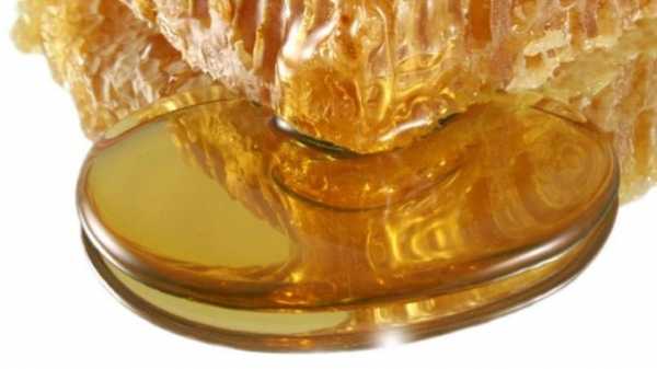Почему горчит липовый мед