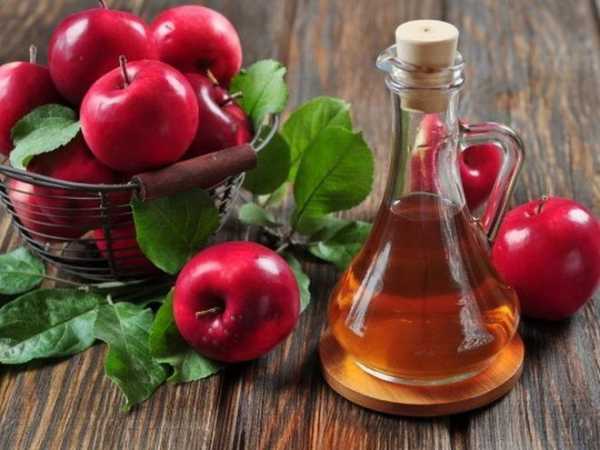 Подагра народные средства лечения яблочный уксус мед