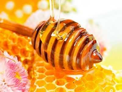 Свойства алтайский мед