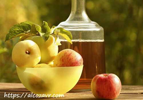 Вино из яблок с медом в домашних условиях простой рецепт