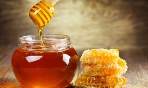 Забрусный мед при лечении панкреатита