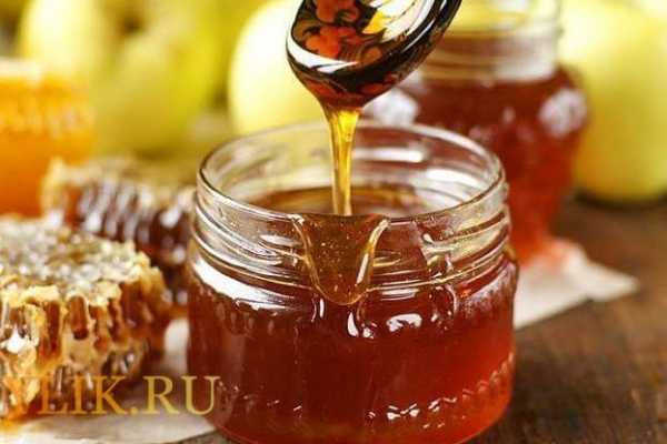 Засахаривается ли гречишный мед